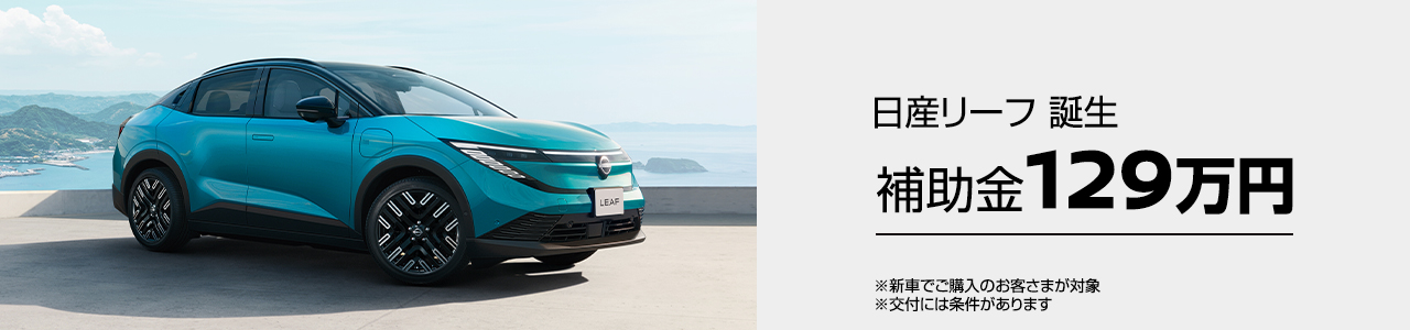 リーフは補助金129万円
